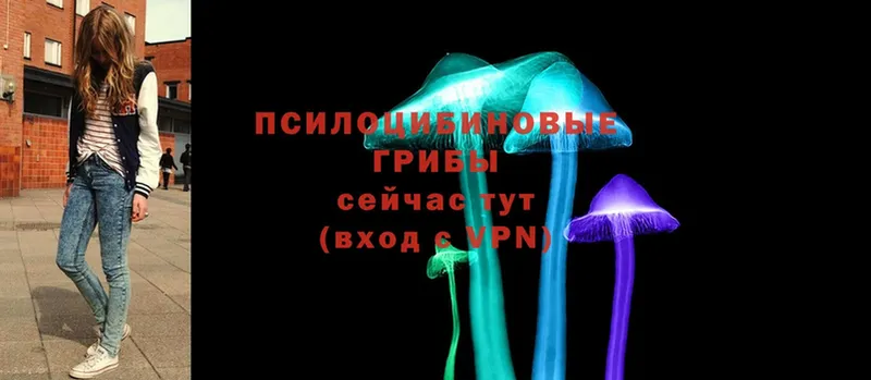 МЕГА зеркало  Обнинск  Псилоцибиновые грибы MAGIC MUSHROOMS 